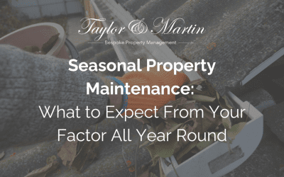 Seasonal Property Maintenance: What to Expect From Your Factor All Year Round